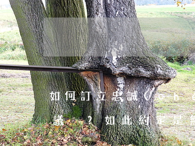 如何訂立忠誠(chéng)協(xié)議？如此約定是無(wú)效的！